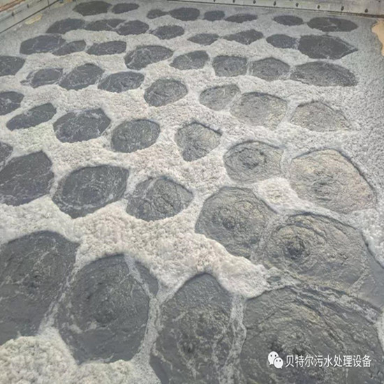 山東貝特環(huán)保出口設備成功運行！