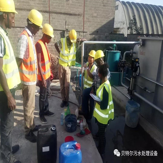 山東貝特環(huán)保出口設備成功運行！